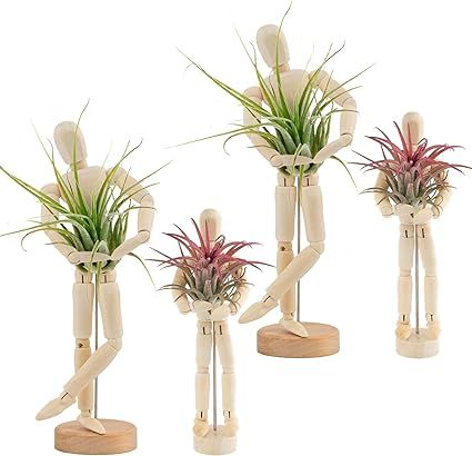 4 Pcs Wooden Jointed Mannequin Air Plant Holder - Tabletop Air Plant Stand in 2 Sizes, Tillandsia... | Amazon (US)