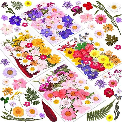 140 Pcs Dried Pressed Flowers for Resin, Real Pressed Flowers Dry Leaves Bulk Natural Herbs Kit f... | Amazon (US)
