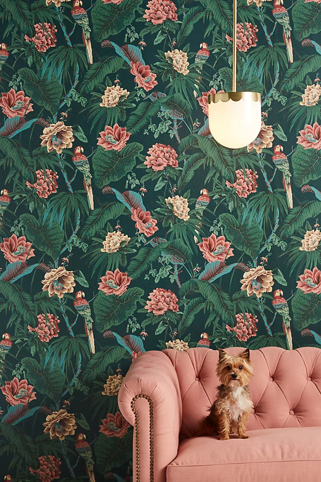 Paradisa Wallpaper | Anthropologie (US)