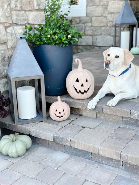 These terra cotta pumpkins are a favorite for Halloween!  They sold out so early last year.  Here is your reminder to grab them early if you had your eye on them!

Halloween front porch | fall decor | lanterns | planters | New England | Hamptons style | terra cotta jack o’ lantern | best faux pumpkins | fluted concrete planter


#LTKunder100 #LTKhome #LTKSeasonal