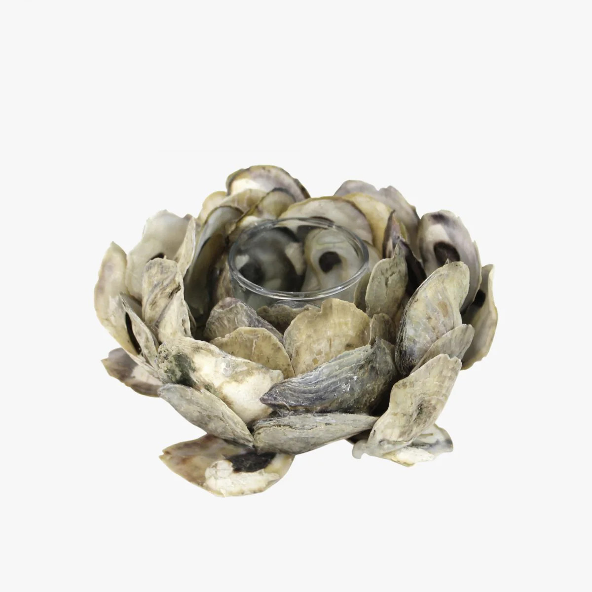 Oyster Shell Candle Holder | Dear Keaton