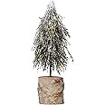 Creative Co-Op 6-1/4" Round x 15" H Faux Pine & Twig Tree on Birch Wood Base w/Snow & Icicles Fig... | Amazon (US)