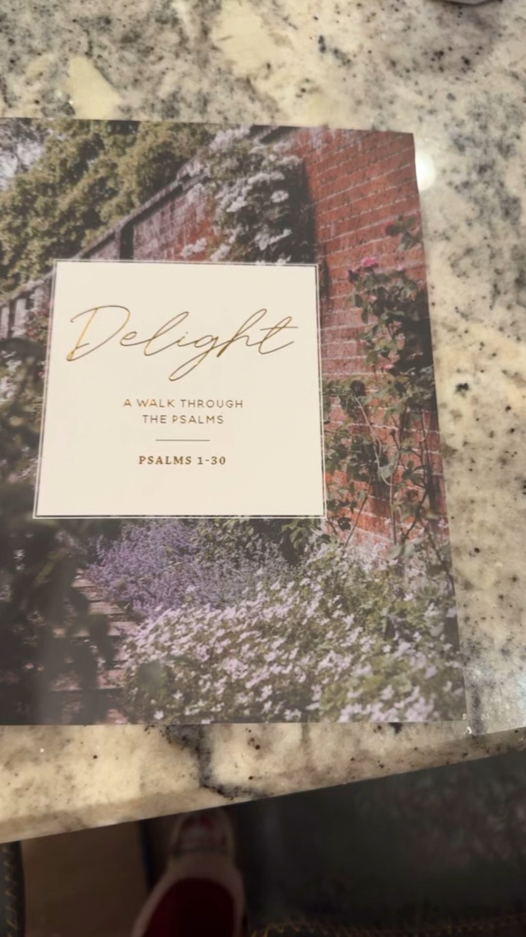 I will be starting this Bible study in January! I’m super excited to dig deeper into Gods word next year! This would also make a great gift for any wonderful lady in your life!

#LTKSaleAlert #LTKGiftGuide