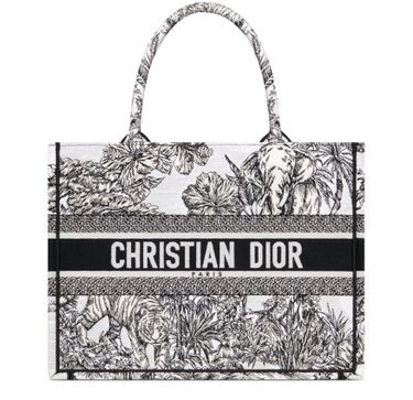 Medium Dior Book Tote - DIOR | 24S US
