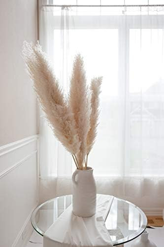 Luvong Collection Pampas Grass Large - Fluffy Dried Pampas Grass Tall (3 Stems) Faux Grass Decor ... | Amazon (US)