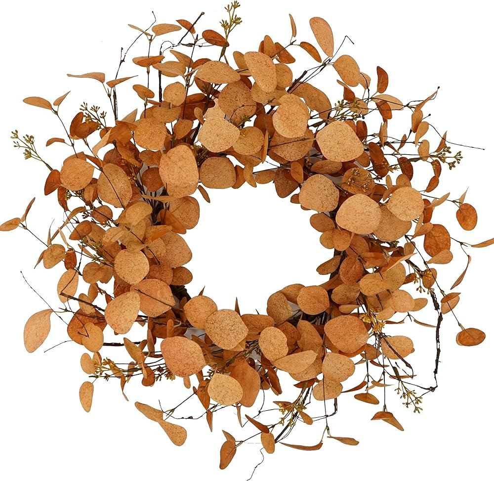 20 inch Artificial Fall Eucalyptus Wreath for Front Door with Orange Eucalyptus Leaves,Dry Vine B... | Amazon (US)