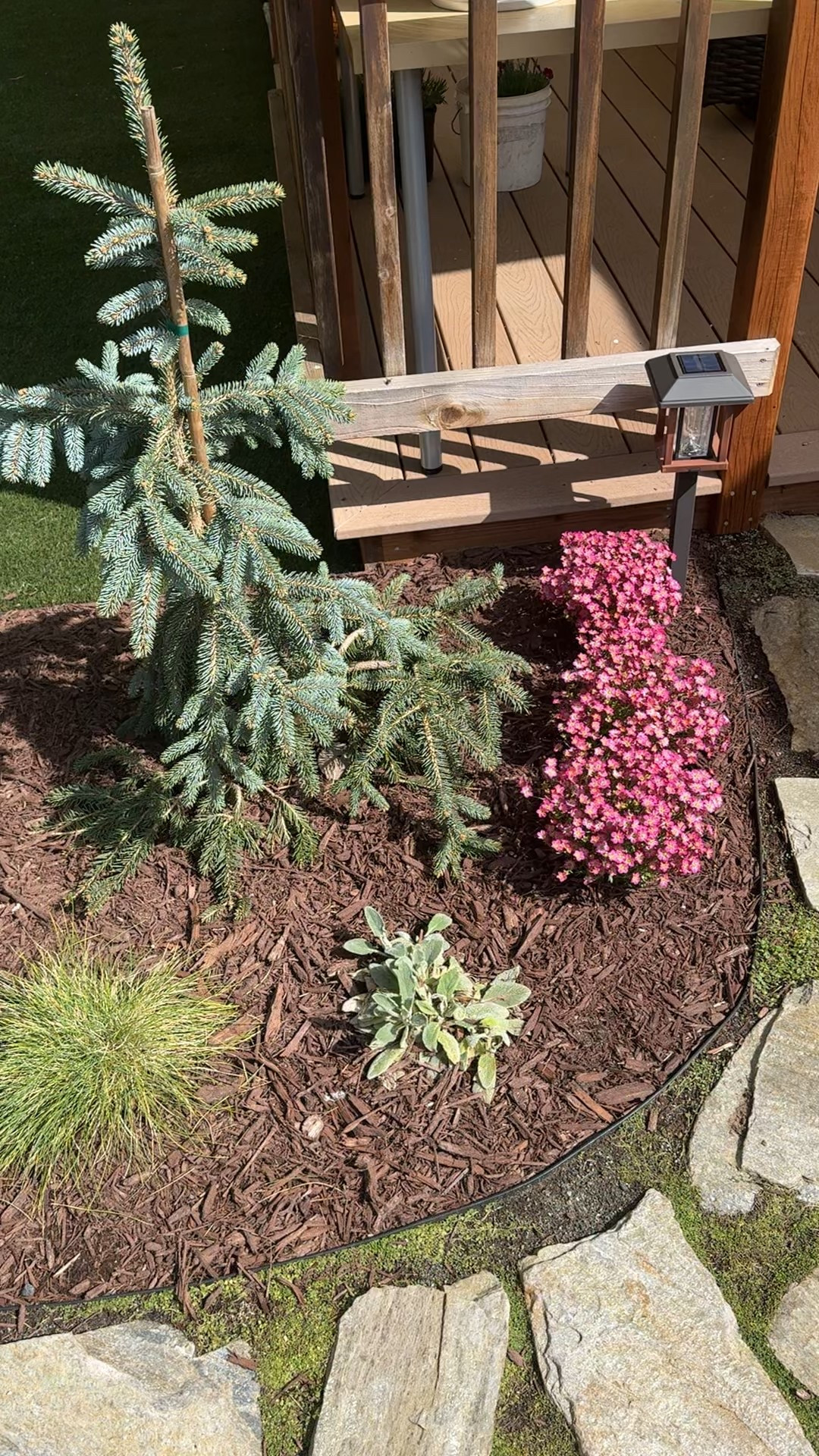 My two fave garden products: outdoor solar lights and garden edging!! 

#LTKHome #LTKWatchNow #LTKU