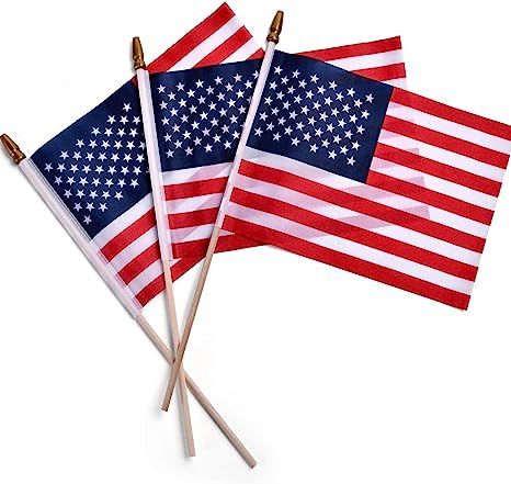 Small American Flag 4x6 Inch-12 Sets, American Stick Flags/Grave Marker Flags/Small US Flag with ... | Amazon (US)