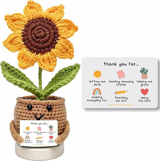 Teacher Gifts for Christmas, Teacher gifts for Women Men - Gifts for Teachers Appreciation Week, ... | Amazon (US)