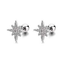 pair Fashion Sterling Silver Cubic Zirconia Star Decor Stud Earrings For Women For Daily Decoration Holiday | SHEIN