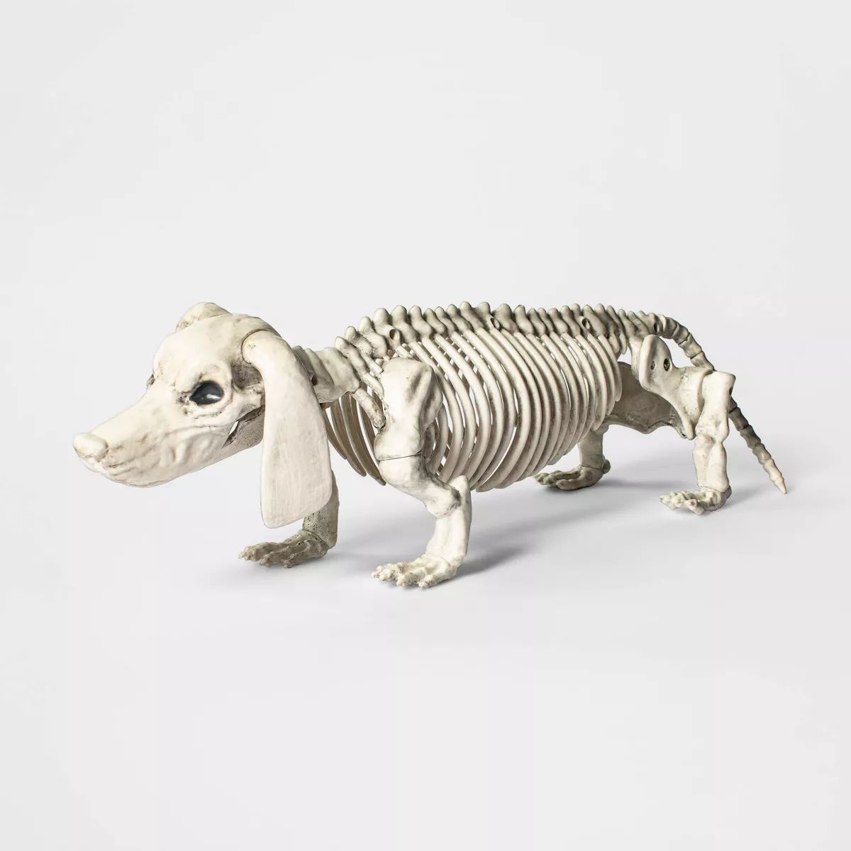 Dachshund Skeleton Halloween Decorative Prop - Hyde & EEK! Boutique™ | Target