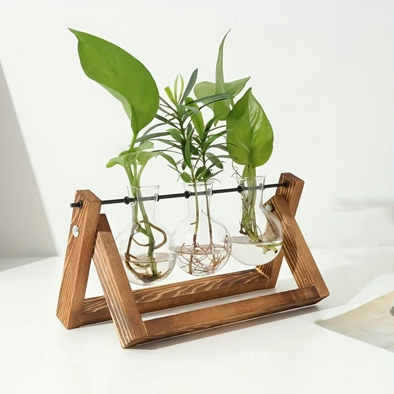 Desktop Plant Propagation Station, 3 Bulb Vase Plant Terrarium with Wooden Stand for Hydroponic P... | Walmart (US)