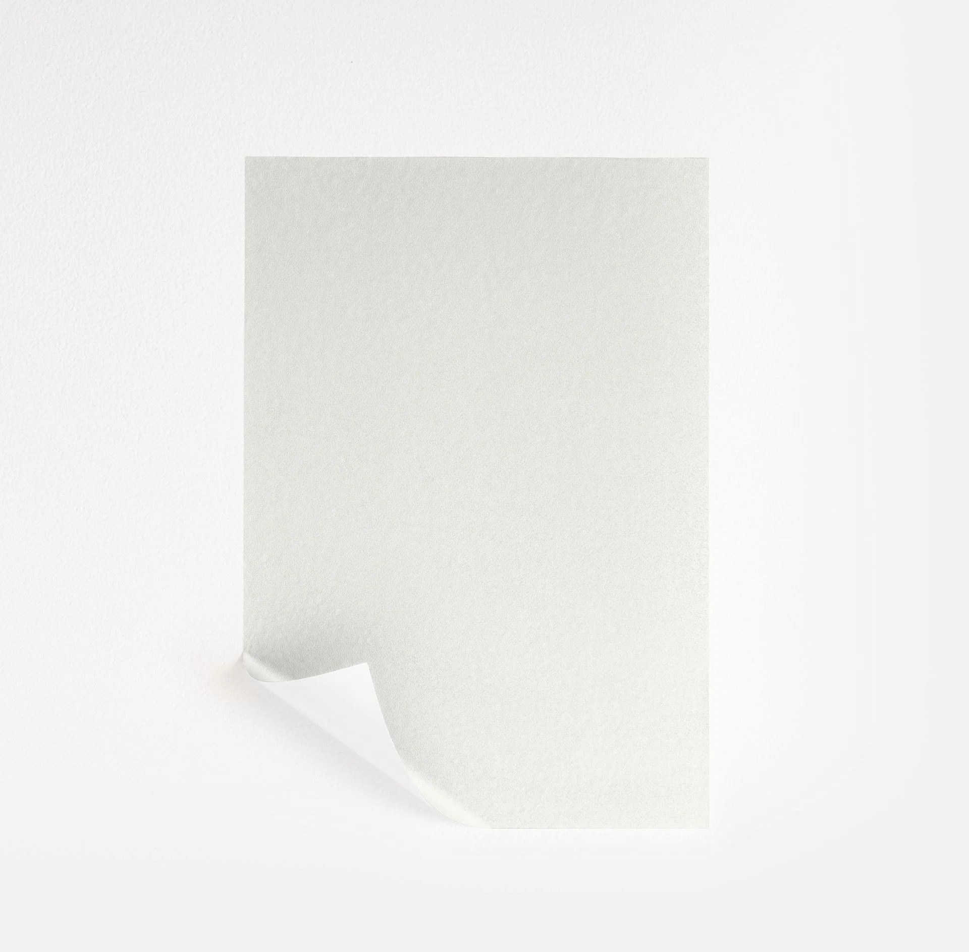 Chantilly Lace Benjamin Moore Paint Sample (2121-70) | Samplize | Samplize