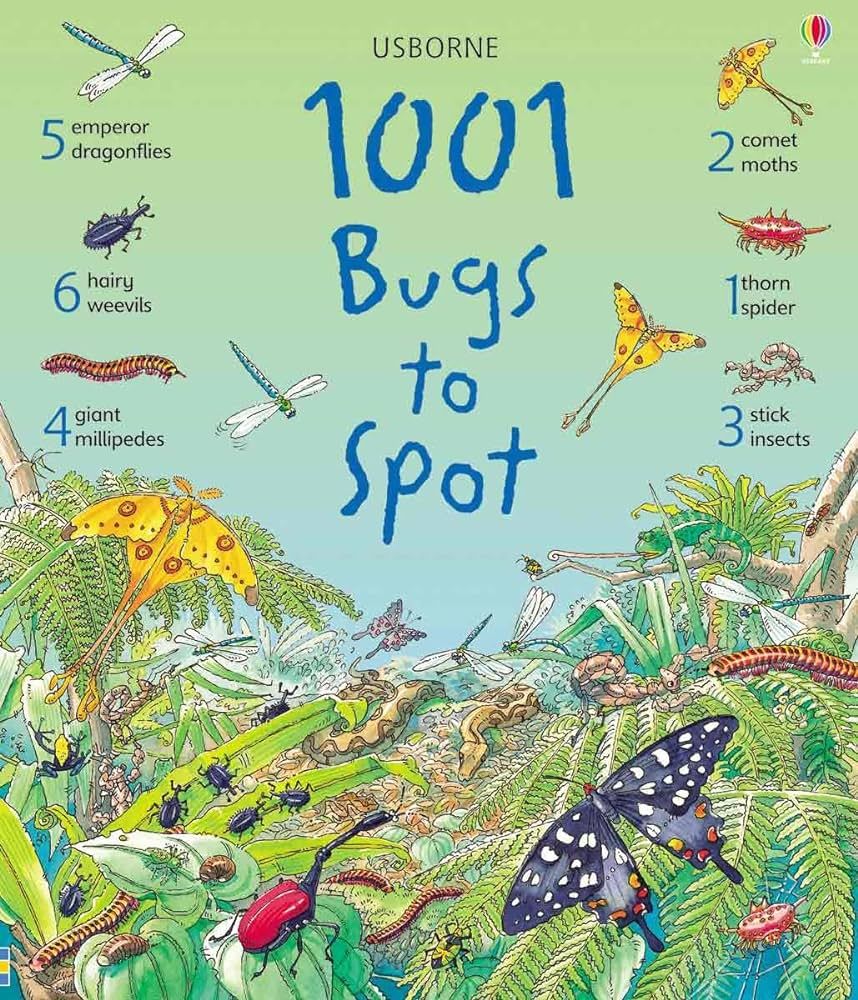1001 Bugs to Spot | Amazon (CA)