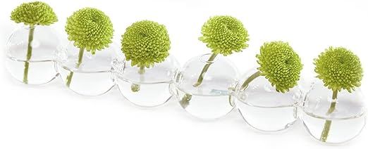 CHIVE ‘Caterpillar’ Bubble Bud Vase for Centerpieces — 6 Hole Multi Chamber Clear Glass Flo... | Amazon (US)