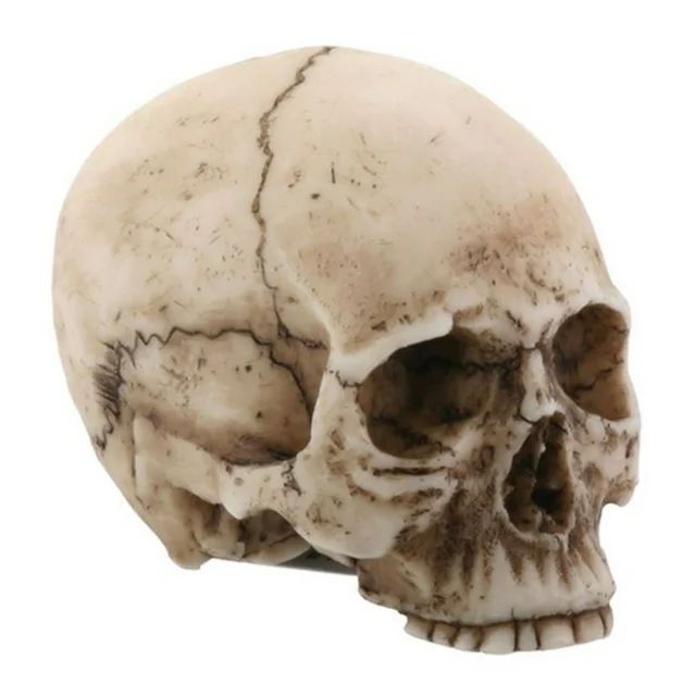 Small Human Skull Halloween Miniature Figurine 1.75 in - Walmart.com | Walmart (US)