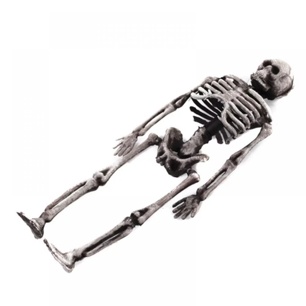 Halloween Mini Skeleton 14cm Full Body Halloween Skeletonsuper Small Tricky Props Halloween Grave... | Walmart (US)