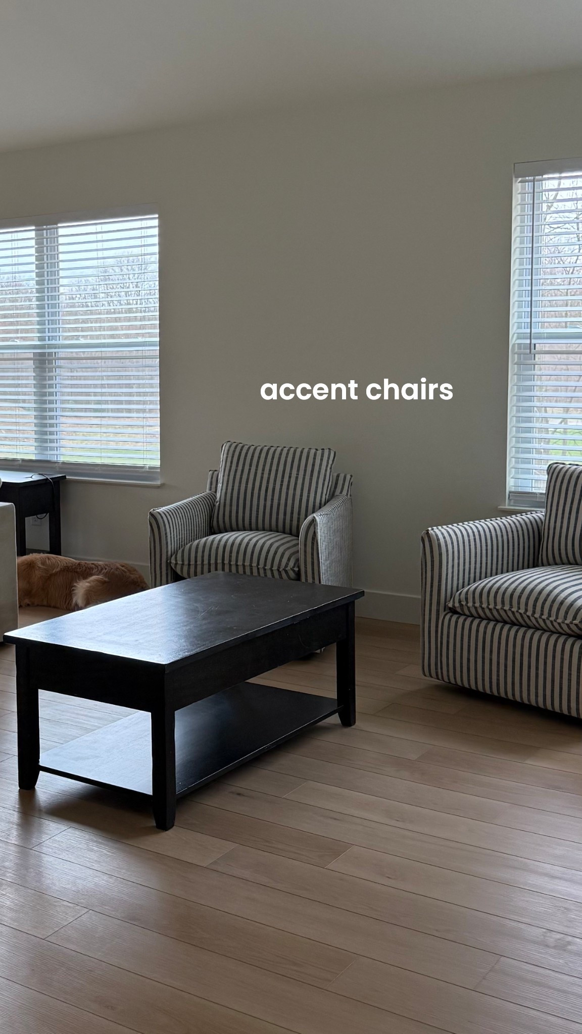 new accent chairs 🤍🤍 #home #accentchairs

#LTKSaleAlert #LTKHome