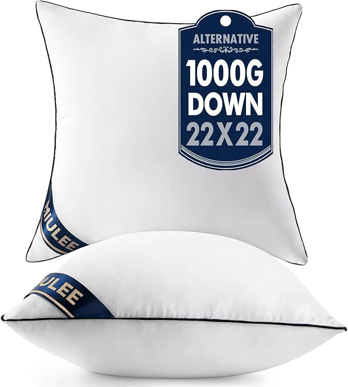 MIULEE 22x22 Pillow Inserts Set of 2 Throw Pillows 22 Inch Premium Down Alternative Pillow Insert... | Amazon (US)