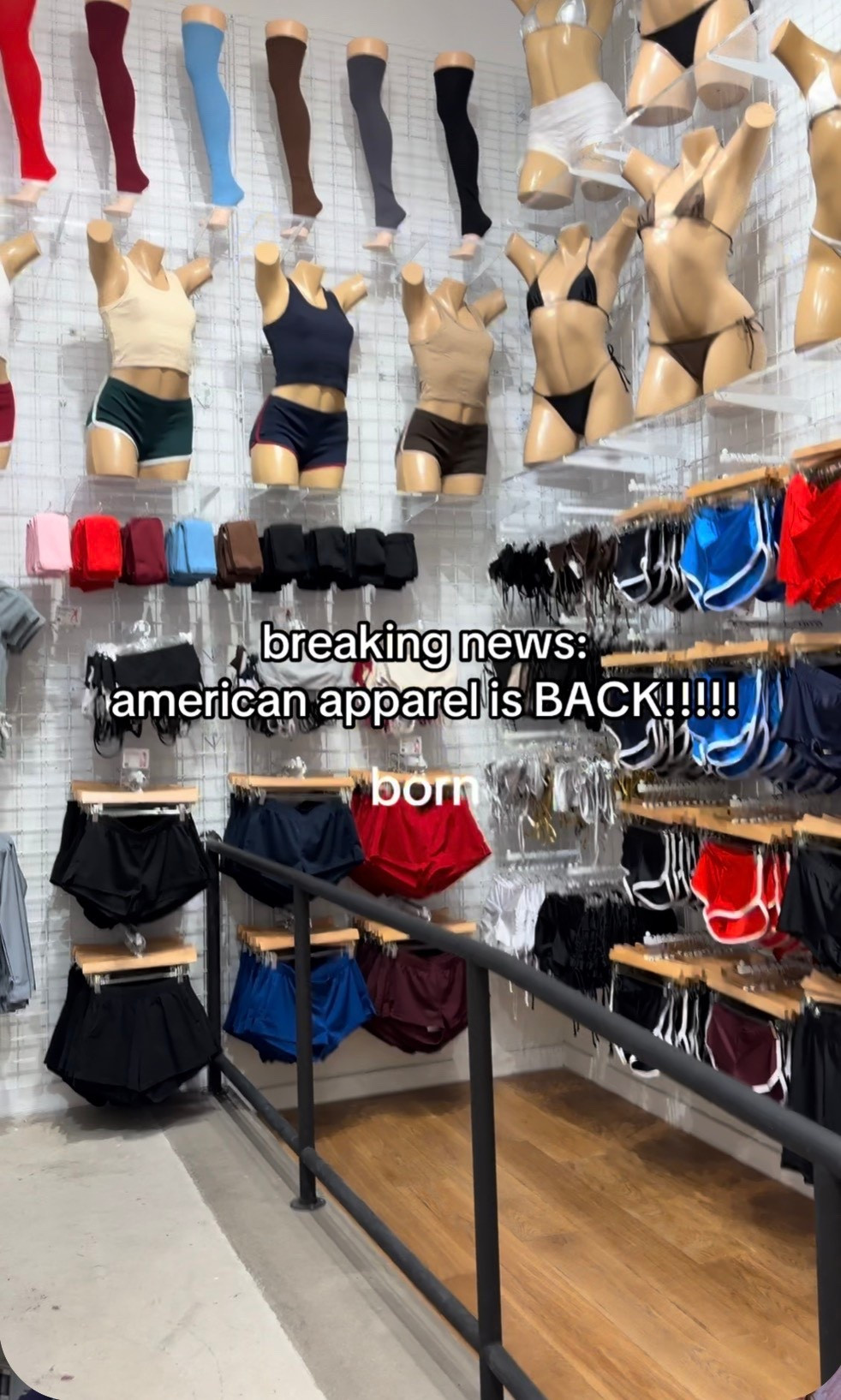 American Apparel is back- here are my top picks :)

#LTKootd #LTKGiftGuide #LTKdayinmylife