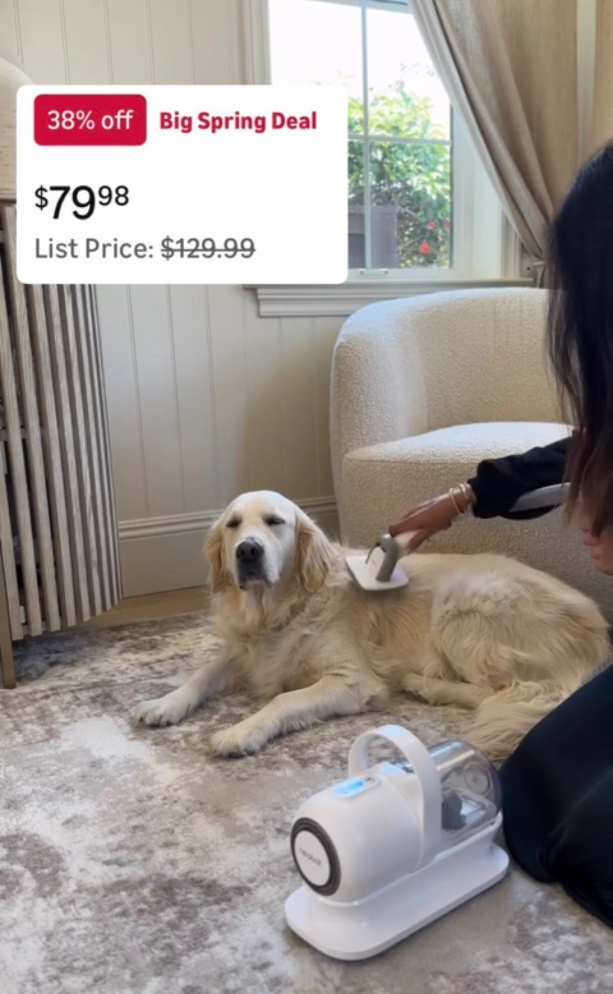 This dog grooming vacuum is a must have if you have pets! I love that it has a canister that sucks up all of the hair. Currently on sale❗️ #stylinbyaylin #amazon #dogs 

#LTKHome #LTKmomlife #LTKSaleAlert