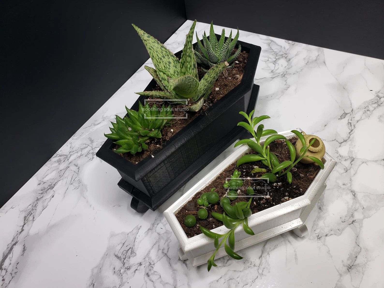 Coffin Mini Planter & Stand Goth Succulent Planter Decor | Etsy | Etsy (US)