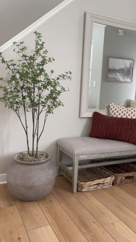 Tiny tree with a big pot. My husband laughed and said no. And then I laughed and said yes. This little tree deserves a big home 🤣🌱🌱 

Neutral home, home decor, home style, winter home, plants, faux plants, front entryway


#LTKstyletip #LTKFind #LTKhome