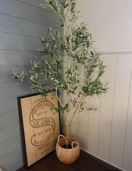 COME ON IN: Best faux olive tree- so substantial and heavy! We have 8’ ceilings in our family room so I got the 7’ tree.

#LTKhome #LTKfindsunder100 #LTKstyletip
