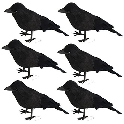 CCINEE Halloween Black Crows,Realistic Feathered Crow Ravens Prop for Indoor Outdoor Halloween Pa... | Amazon (CA)