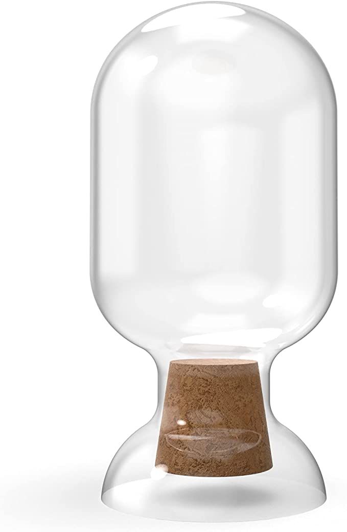 Glass Match Cloche Jar - Fireplace Matches Holder with Striker - Fancy Home Bathroom Decor - Uniq... | Amazon (US)