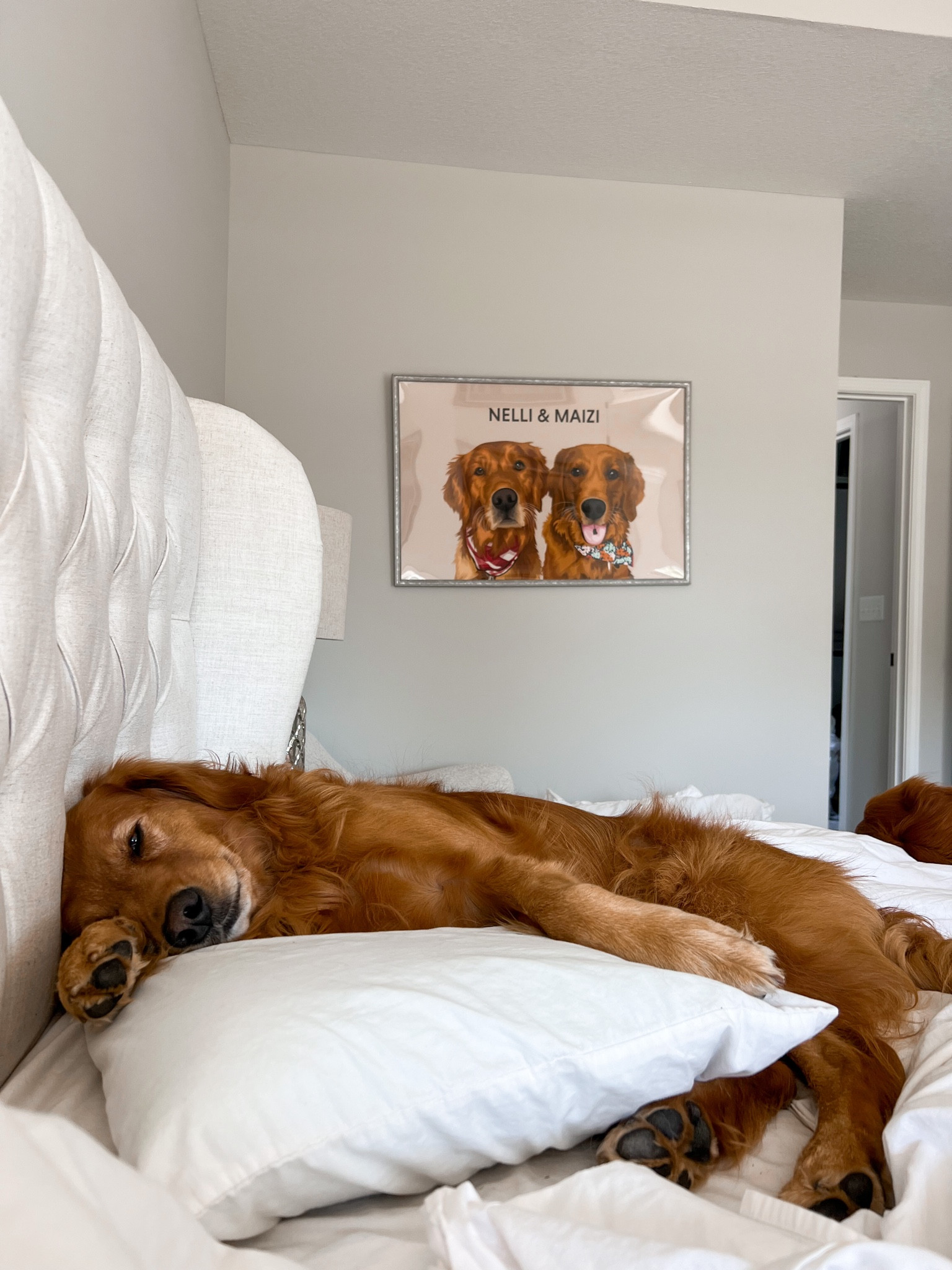 etsy dog picture!

#LTKFind #LTKhome #LTKSeasonal