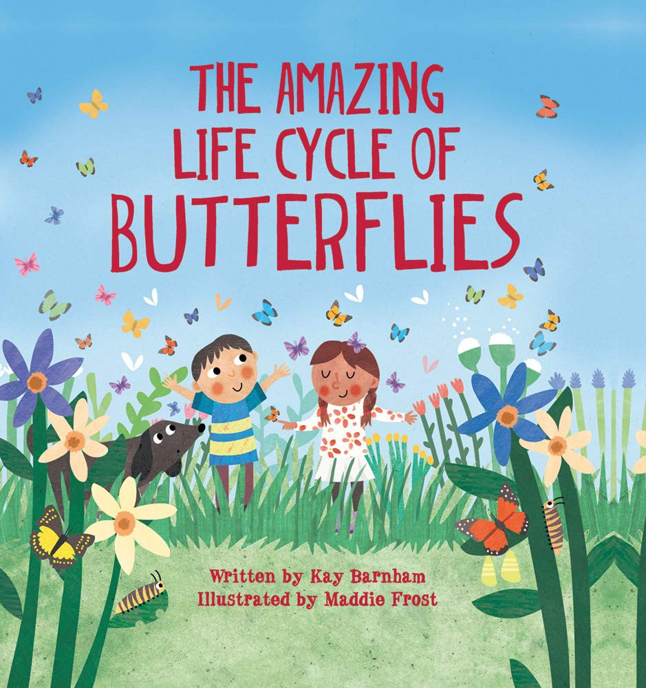 The Amazing Life Cycle of Butterflies (Look and Wonder)     Hardcover – Picture Book, May 1, 20... | Amazon (US)