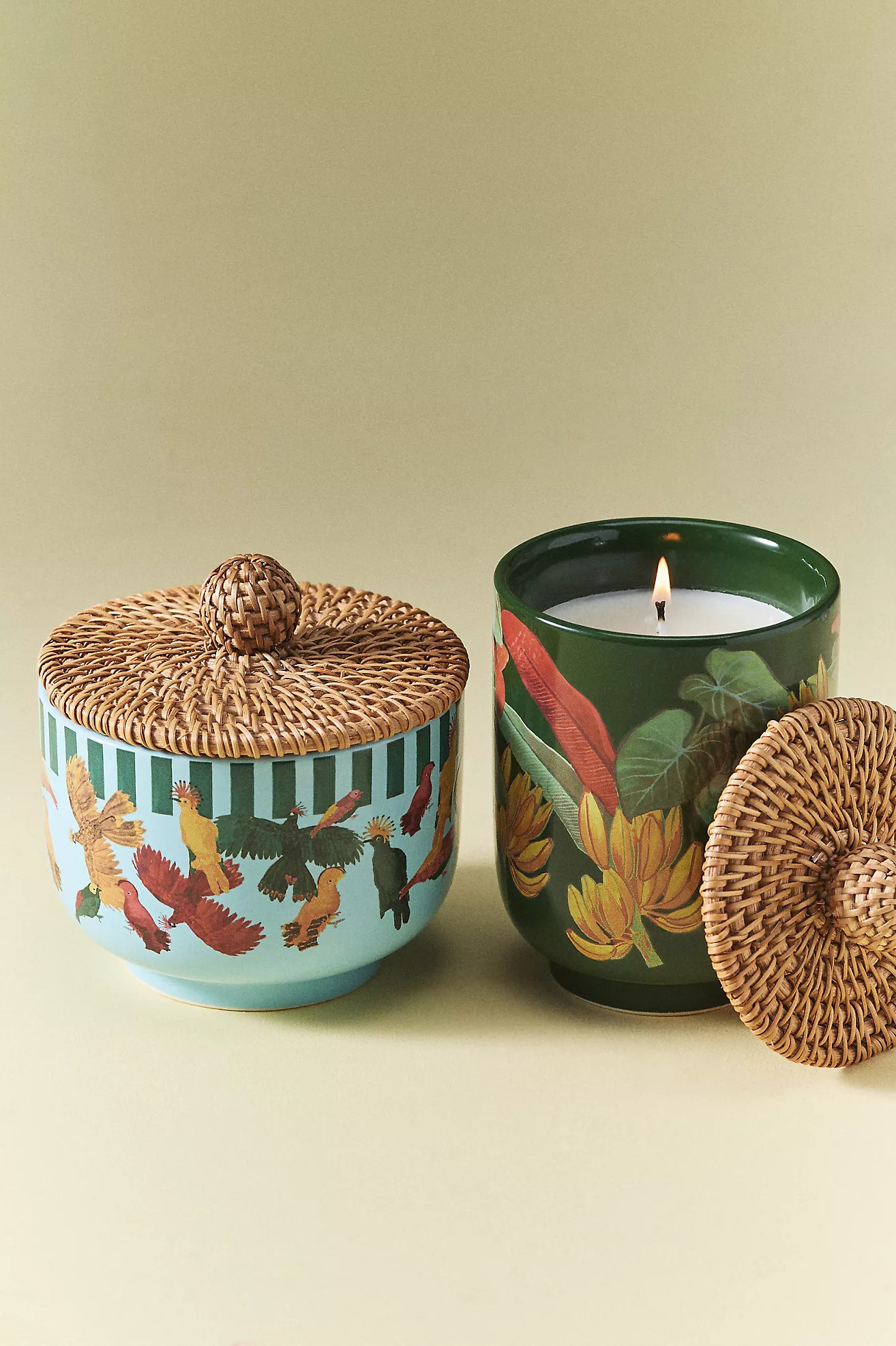 Farm Rio x Anthropologie Fruity Hibiscus & Pink Guava Ceramic Candle | Anthropologie (US)