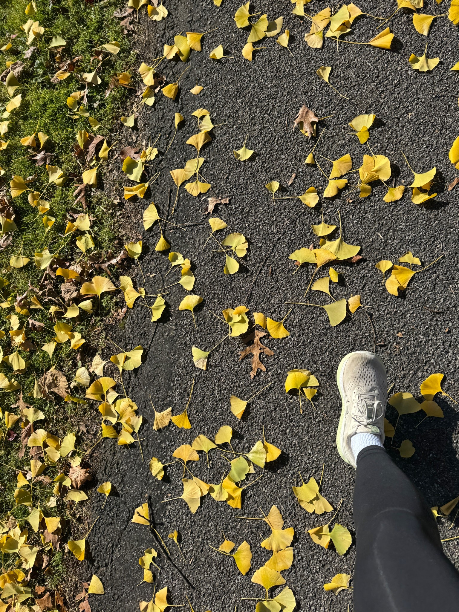 The leggings that DO NOT BUDGE I SWEAR. Ran 10 miles and didn't touch them the entire run. 

#LTKActive #LTKGiftGuide #LTKfitnessgoals