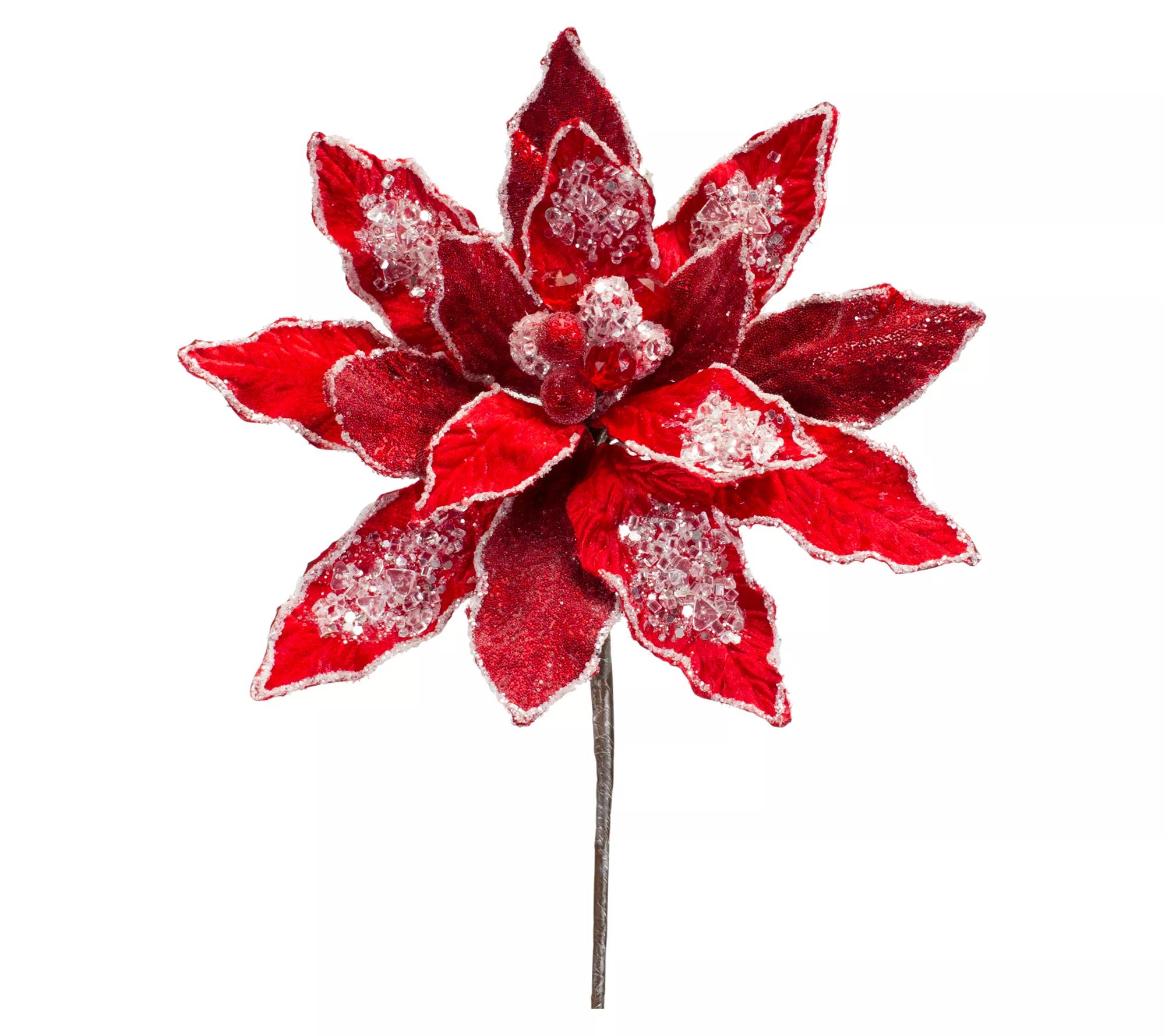 Melrose Red Poinsettia Stem w/Gold Bead Accents (S/6) - QVC.com | QVC