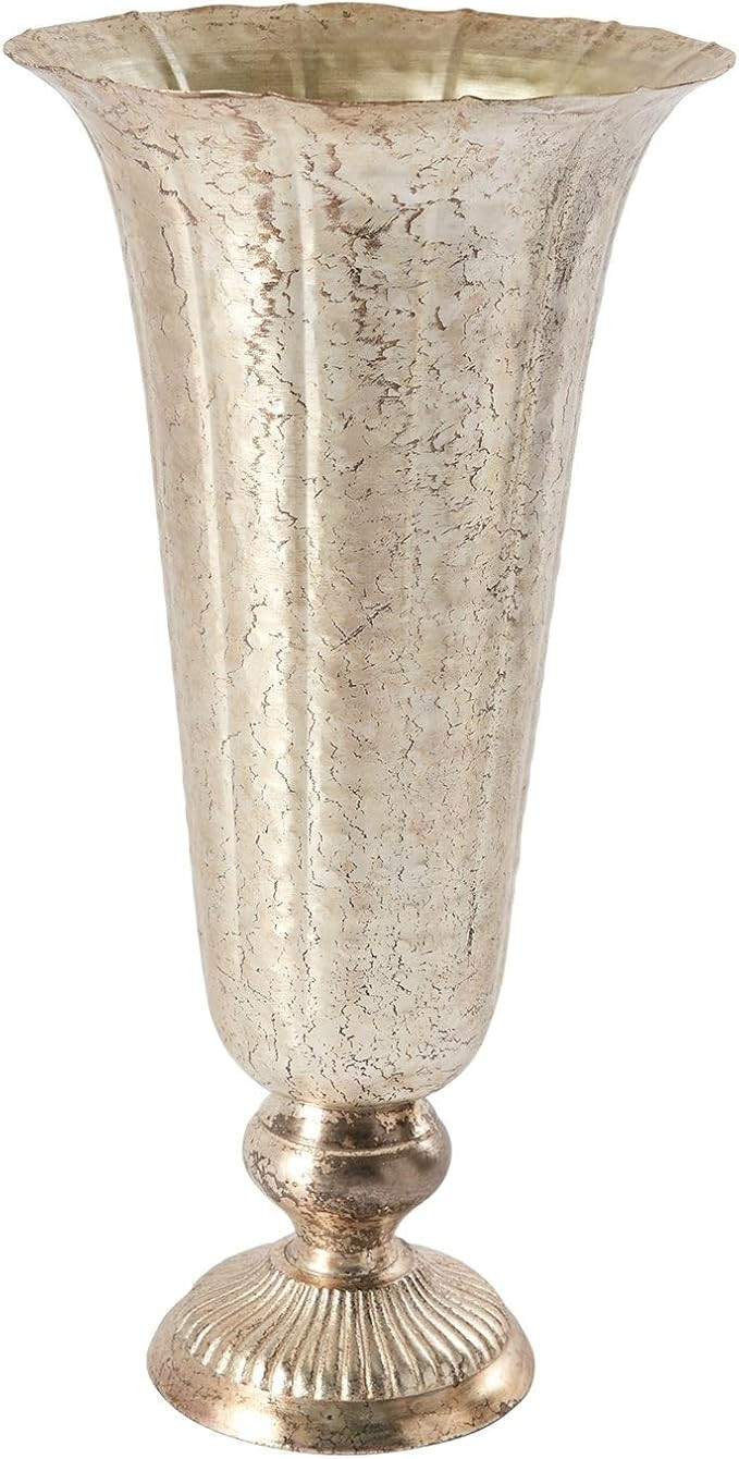 Lita Distressed Metal Vase | Indoor/Outdoor Decor - Champagne Flute Shape (6.5"x14") | Amazon (US)