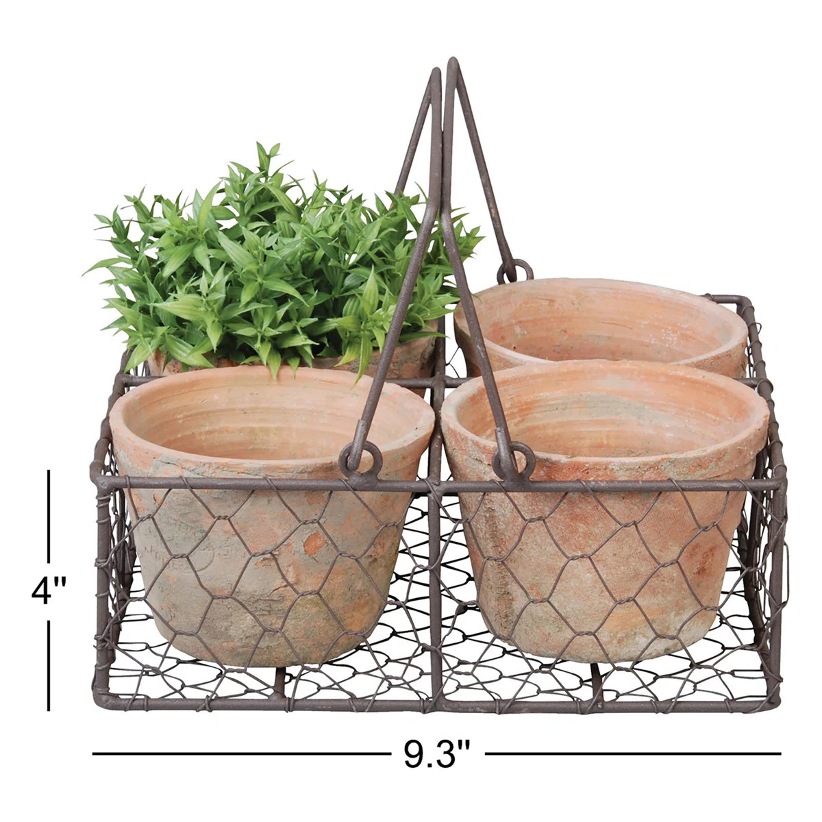 Olaughlin Terracotta Planter with Basket | Wayfair North America