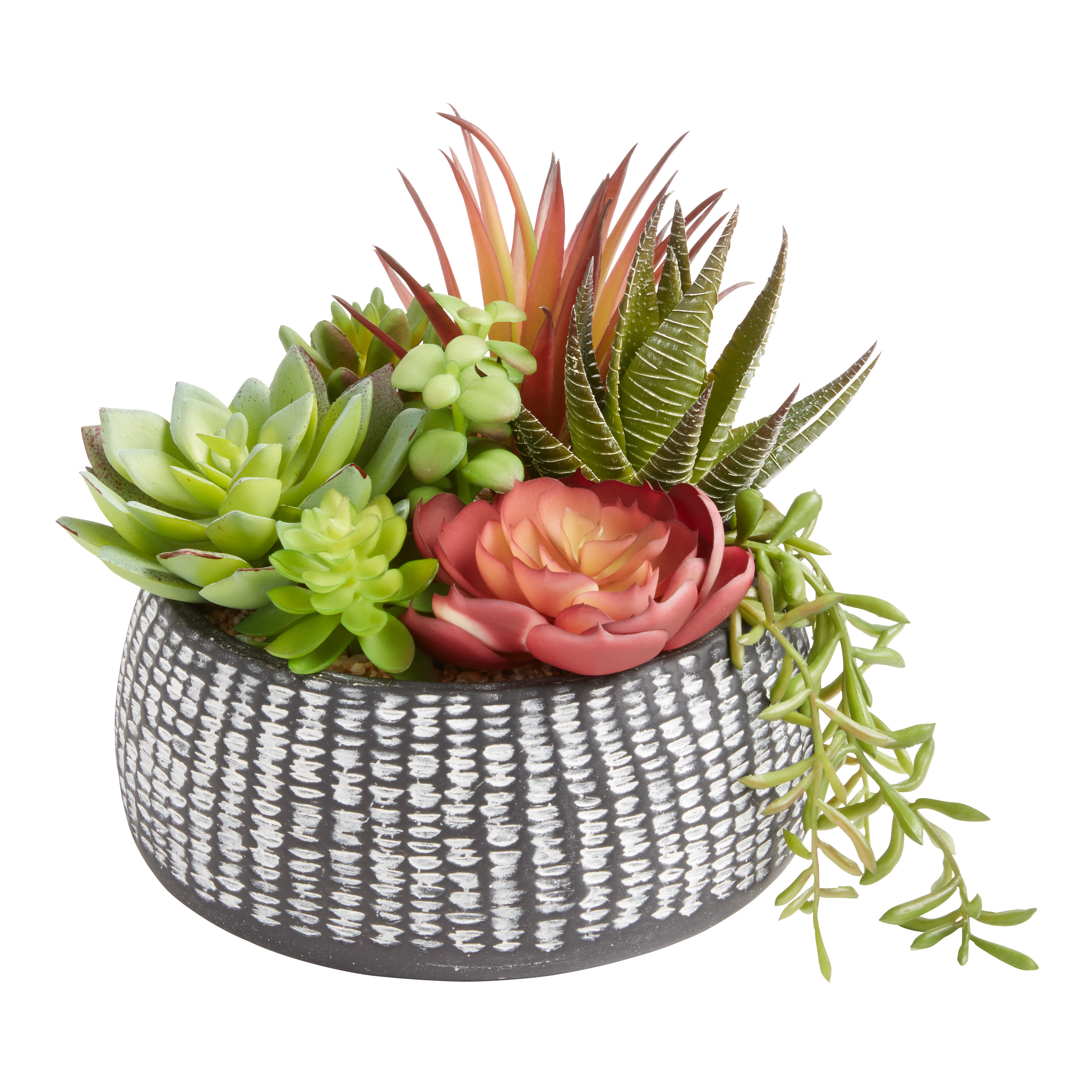Faux Succulent Arrangement in Black Etched Ceramic Pot | World Market