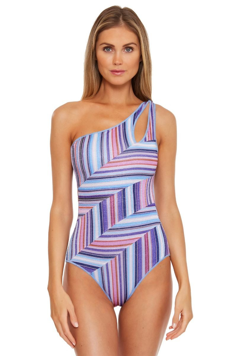 Arabella One Shoulder One Piece Swimsuit | Everything But Water