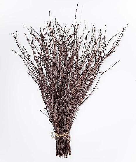 50 psc. Birch Twigs – 100% Natural Decorative Birch Branches for Vases, Centerpieces & DIY Craf... | Amazon (US)