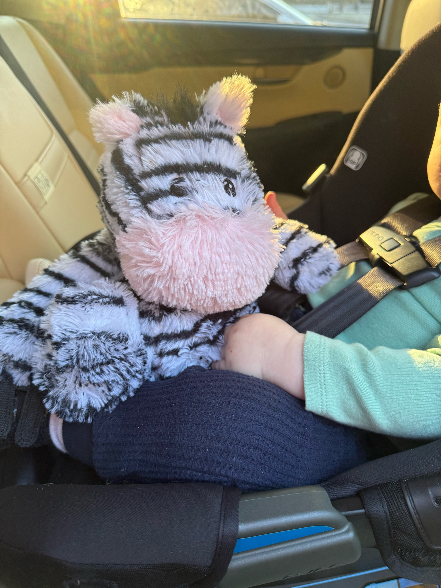 Warmies Stuffed Animals

#LTKBaby #LTKGiftGuide