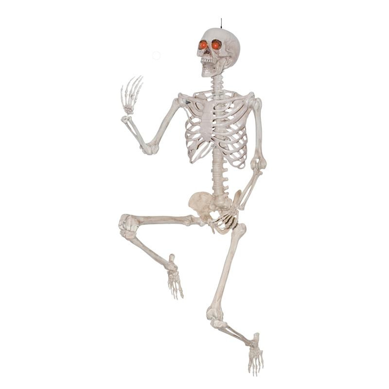 Posable Life Size Halloween Skeleton, 60" | At Home