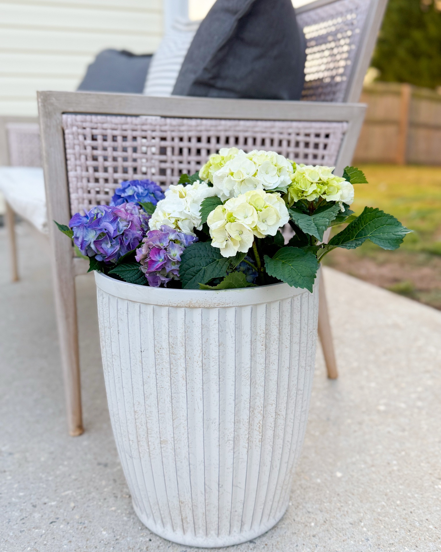 Planters in my home that are on sale!

#LTKHome #LTKSaleAlert #LTKSeasonal