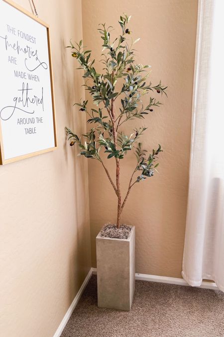 5 feet olive tree from Walmart. On sale for $29.99. Mother’s Day gift idea. 




Gift for mom, gift for plant lover, home gift, home decor, home refresh, amazon planter, tall planter, 



Olive tree/ artificial plant/ home decor/ Walmart home decor/ Walmart finds/
Walmart deal/ Walmart sale

#LTKsalealert #LTKGiftGuide #LTKhome #LTKSeasonal #LTKfindsunder50 #LTKfamily #LTKkids