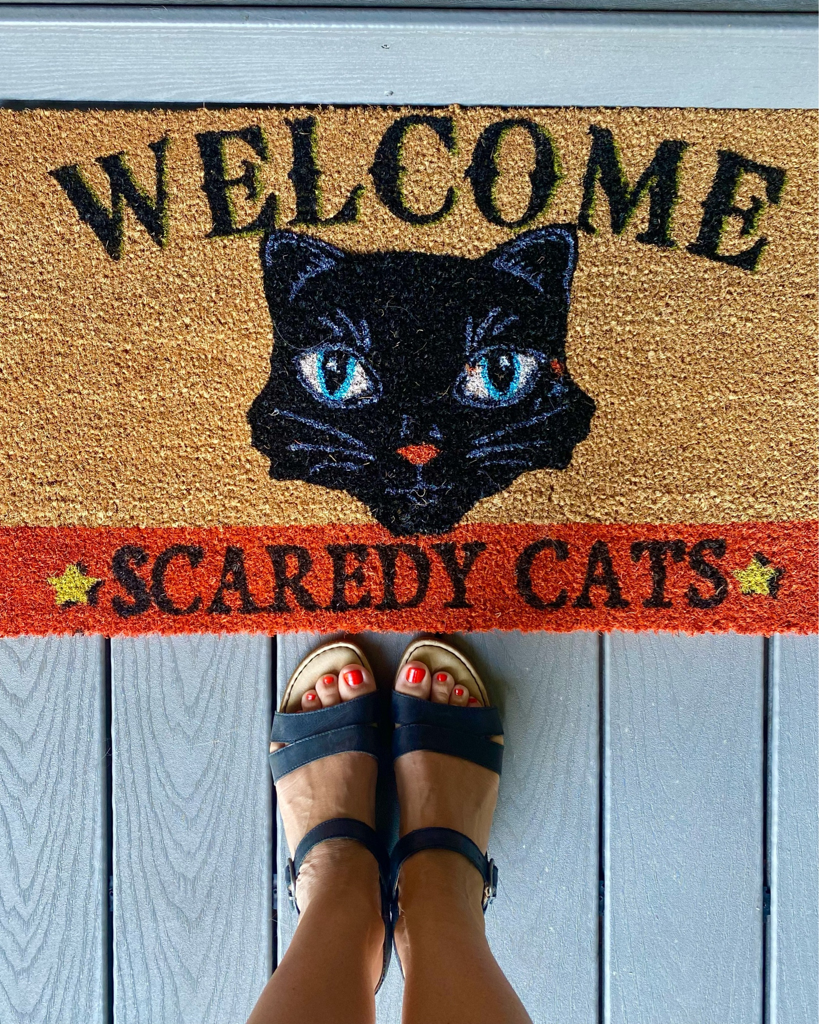Scaredy Cats Welcome Sign. 