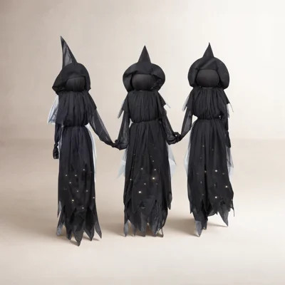 LED Lighted Witch Garden Stake | Joss & Main