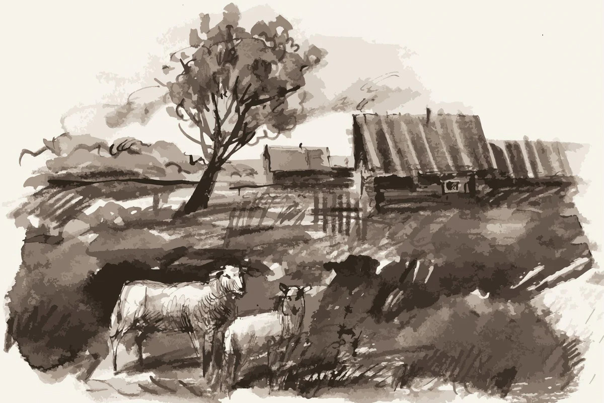 Grazing | Collection Prints