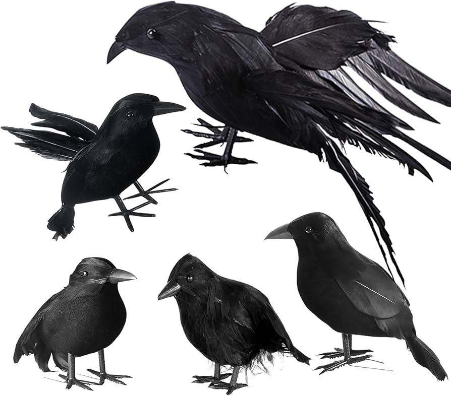 yumhum 5 Packs Real Feathered Halloween Black Crows, Handmade Realistic Crow with Real Feathers R... | Amazon (US)