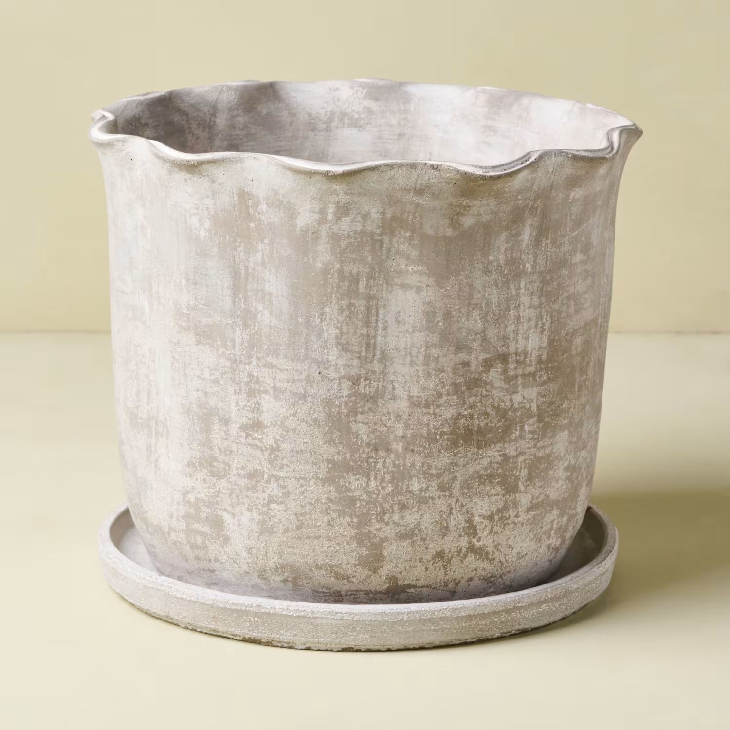 Alice Scalloped Cement Planter | Magnolia