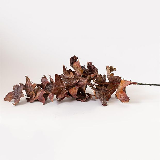 Rustic Maple Harvest Stem Set of 2 | Antique Farm House